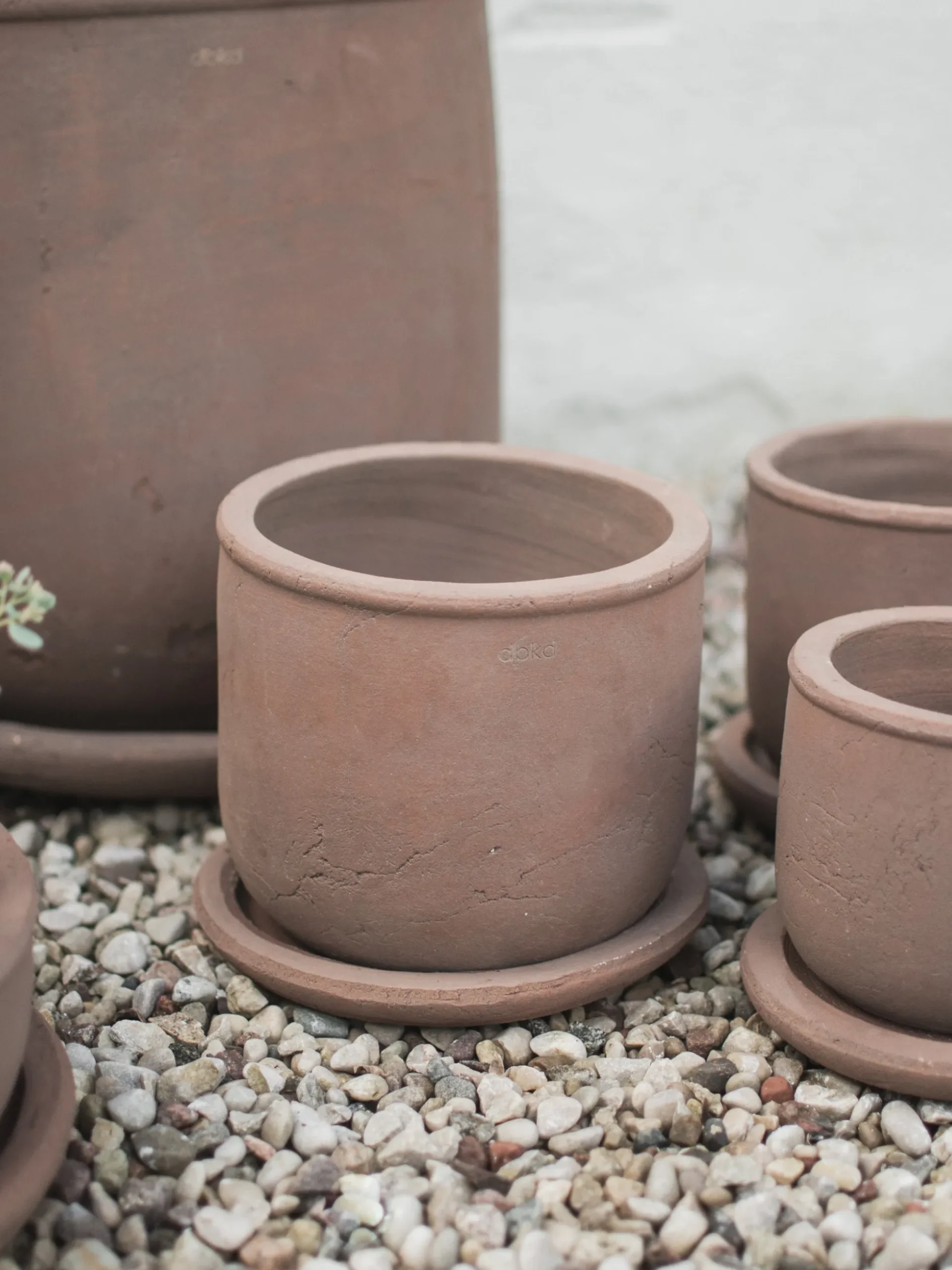 Vaso per piante da esterno in terracotta Terra, alt. 18 cm