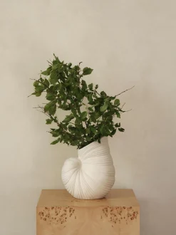 Vaso a forma di conchiglia Shell, alt. 27 cm