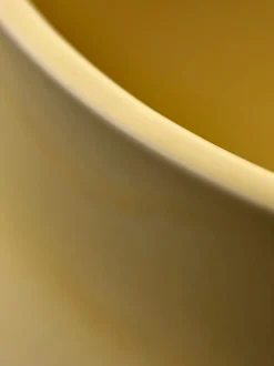 Vaso Dorotea