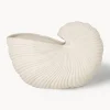 Vaso per fiori a forma di conchiglia Shell